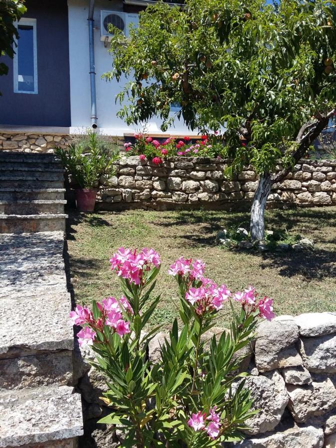 Villa Sunny Day Saints Constantine and Helena Exterior photo